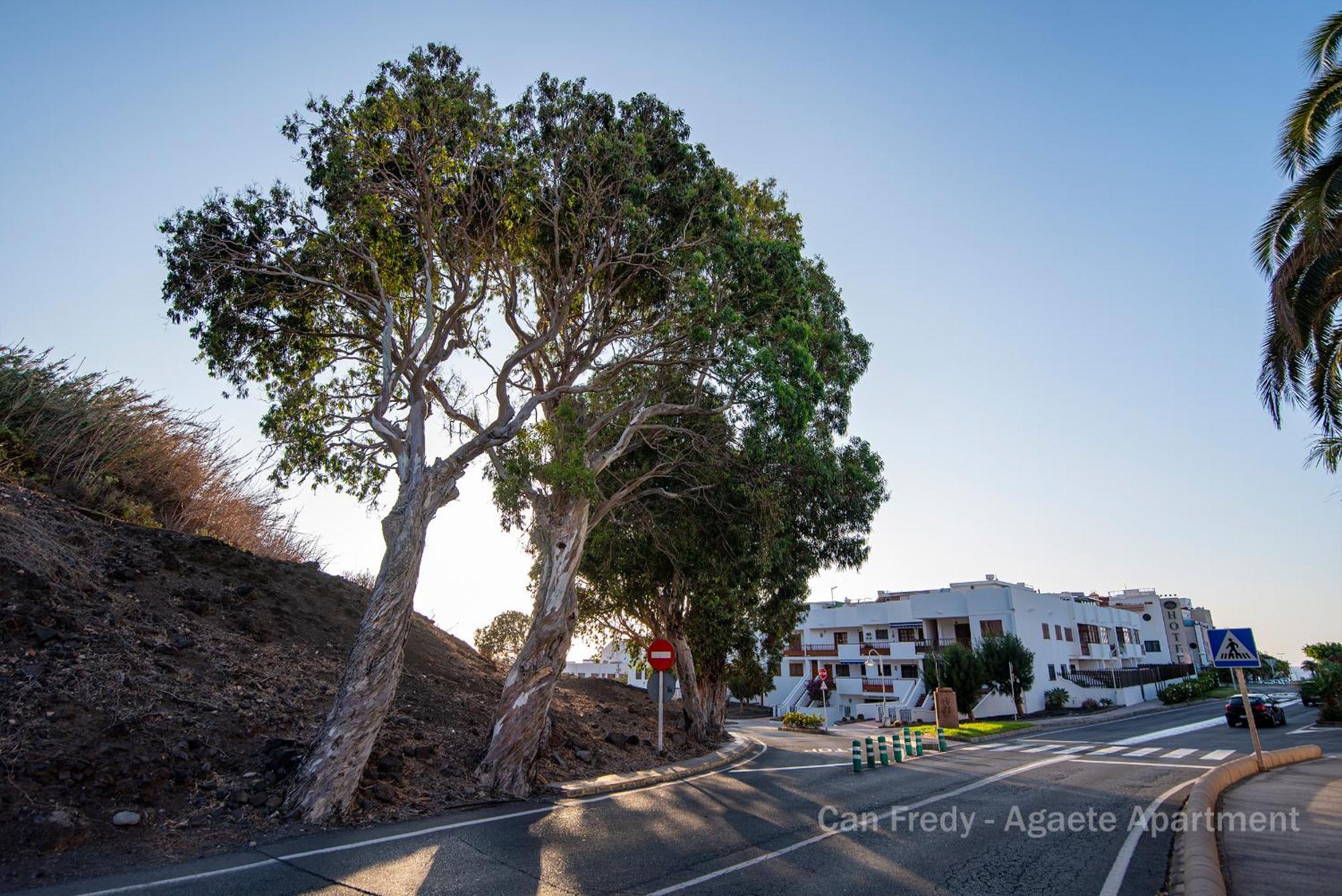 Can Fredy - Private Apartment Agaete Agaete  Εξωτερικό φωτογραφία
